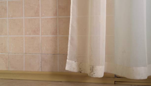 Best Emergency Mold Remediation  in Tiburon, CA
