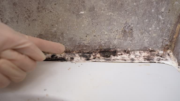 Best Indoor Air Quality Assessment  in Tiburon, CA